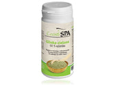 Argile verte 100g COSMOSPA